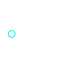 ¿Cómo vives las regatas de la Concha?